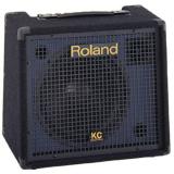 Compare Prices : Roland KC-150