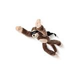 Compare Prices : Screaming Flying Monkey