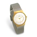 Compare Prices : Skagen 233SG