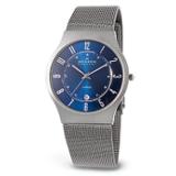 Compare Prices : Skagen 233XLTTN