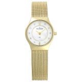Compare Prices : Skagen 233XSGG
