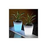 Compare Prices : Solar Powered Plant Pot