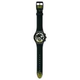 Compare Prices : Swatch YCB4011