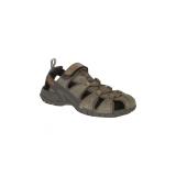 Compare Prices : Teva Dozer