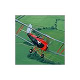 Compare Prices : Tiger Moth Flight