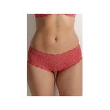 Compare Prices : Triumph Briefs