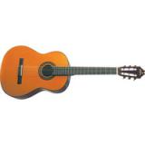 Compare Prices : Washburn C40