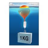 Compare Prices : Waterbuoy