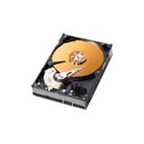 Compare Prices : Western Digital Caviar 250GB