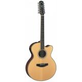 Compare Prices : Yamaha APX700